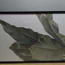 QDSSDECO 24x36 Poster Frame Black Wood Frame with Plexiglass Horizontal and Vertical Formats Hanging on the Wall Display Picture, Set of 1