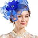 Zando 2026 Kentucky Feather Mesh Fascinators Derby Hats for Women Girls with Clip and Headband Tea Party Wedding Cocktail Hat