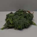 Real Touch Cedar Garland Artificial Realistic Christmas Garlands Faux Green Cedar Fake Pine Needles Garland for Mantle Indoor Home Holiday Pine Garlands Christmas Decorations Outdoor Xmas (6FT)