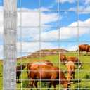 Cattle Farm Fence, 6x164ft Galvanized Wire Fencing 14GA Heavy Zinc Coating Wire Fencing, for Goat Deer Yard Livestock Animals Protection, 6x164ft