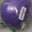 Jolly Pets Jolly Egg Dog Toy, 12 Inches/Large, Purple