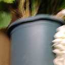 Artificial Hydrangea Tree 29" Tall (Set of 2), Faux White Hydrangea Plant in Pot, Realistic Artificial Plant for Indoor Outdoor Porch, Patio, Balcony Decor