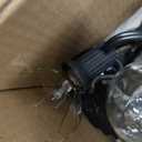 12873 Monaco 25 5W G40 String Light Set, Clear