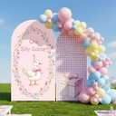 2PCS One Silly Goose Arch Backdrop Cover for Girl One Silly Goose 1st Birthday Decor 6ft 7.2ft Stretchy Spandex Pink Gingham One Silly Goose Arch Backdrop Stand Cover for Girl First Birthday Supplies