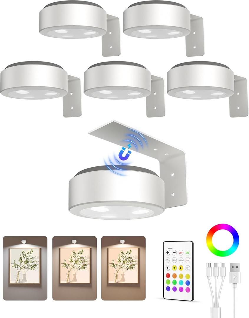 EZVALO Picture Lights for Wall, 2000mAh Rechargeable Battery Magnetic Poster Lights with 3 Color Temps & 12 RGB, Remote Dimmable Timer Painting Light, Wall Decor Light for Art Display, Frame (6 Pack) (White)