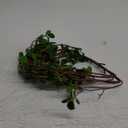 3pcs Artificial Branches Plants Artificial Greenery Stems Faux Greenery Stems Faux Branches for Vase Plant Artificial Eucalytus Branches Fake Ficus Twig (45"/Each Branch) (3, Green)