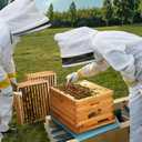 Beehive Starter Kit 10-Frame Bee Boxes and Frames Starter Kit Wax Coated Bee Hives and Supplies Starter Kit Including Beekeeping Tools Kit with Beekeeping Veil