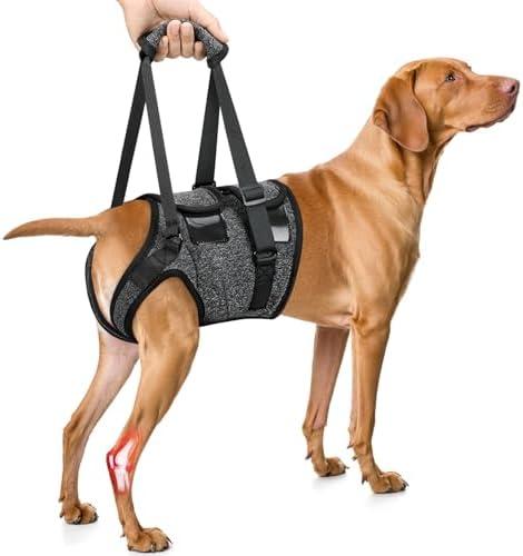 SlowTon Dog Lift Harness - Adjustable Dog Sling for Medium Large Dogs, Hind Leg Support to Help Rehabilitate, Soft Padded Dog Support Harness for Elderly, Injured, Arthritic, Disabled Dogs, L