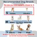 Soft Small Dog Cone Collar Alternative, Comfortable Elizabethan Dog Neck Pillow Cone for Small Dogs (Yorkshire Chihuahua), Protective Adjustable Head Recovery Cone After Surgery Anti Licking for Pup S