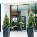 Keter Set of 2 Resin Modern Outdoor 22 Inch Tall Large Flower Pots, Tapered Wood Look Planters for Outdoor Plants and Front Porch Decor, Graphite