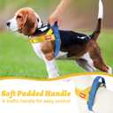 Yellow Dog Harness Escape Proof No Pull Soft Padded Lightweight Vest Medium Sized Dog - Reflective No Choke Harness with Front Clip, Adjustable Step in Breathable Mesh Harness, L