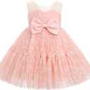 Baby Girl Daisy Strawberry Confetti Birthday Dress Pageant Tea Party Easter Outfits Toddler Princess Fancy Ball Gown (Pink)