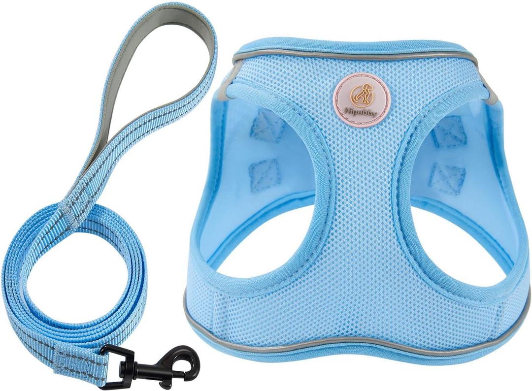 Hipubby Dog Harness and Leash Set, No Pull Soft Mesh Puppy Harness for Small Medium Dogs, Cats - Step in Reflective Breathable Lightweight Vest Harness for Walking, Training - Blue, S (S (Chest: 15.5"-17"))