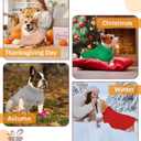 Dog Sweaters for Small Medium Large Dogs Warm Fleece Clothes Ultra Soft Turtleneck Sweater for Boys and Girls, XS