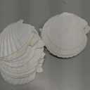 20 PCS 4-5 Inch Large Scallop Shells for Crafting, Natural Large Seashells for Crafts, White Big Sea Shells for DIY Painting, Baking, Beach Wedding Decors