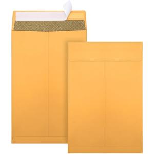 6x9 Envelopes, 250 Pack Security Catalog Envelopes Self Seal, Small Brown Envelopes for Mailing, Organize, Storage, Home, Office