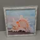 Starfish Prints Wooden Wall Art: Ocean Art Set of 4 Seashell Pictures Collection Beach Framed Wall Decor for Bedroom Overall 36"W x 24"H (White Sand Dollar)