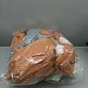 10FT Length Halloween Pirate Ship Inflatable with Pirate, Halloween Decorations Outdoor Inflatable Pirate Ship Built-in 5 LEDs and 4 RGB Lights for Pirate Halloween Decorations Outdoor