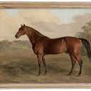 Rustic Farmhouse Wall Art Decor - Unframed Rolled Canvas 24x36 Large - Boho Landscape Pictures - French Country Kitchen Print Poster - Neutral Aesthetic Vintage - Horse Equine Pony Equestrian Painting