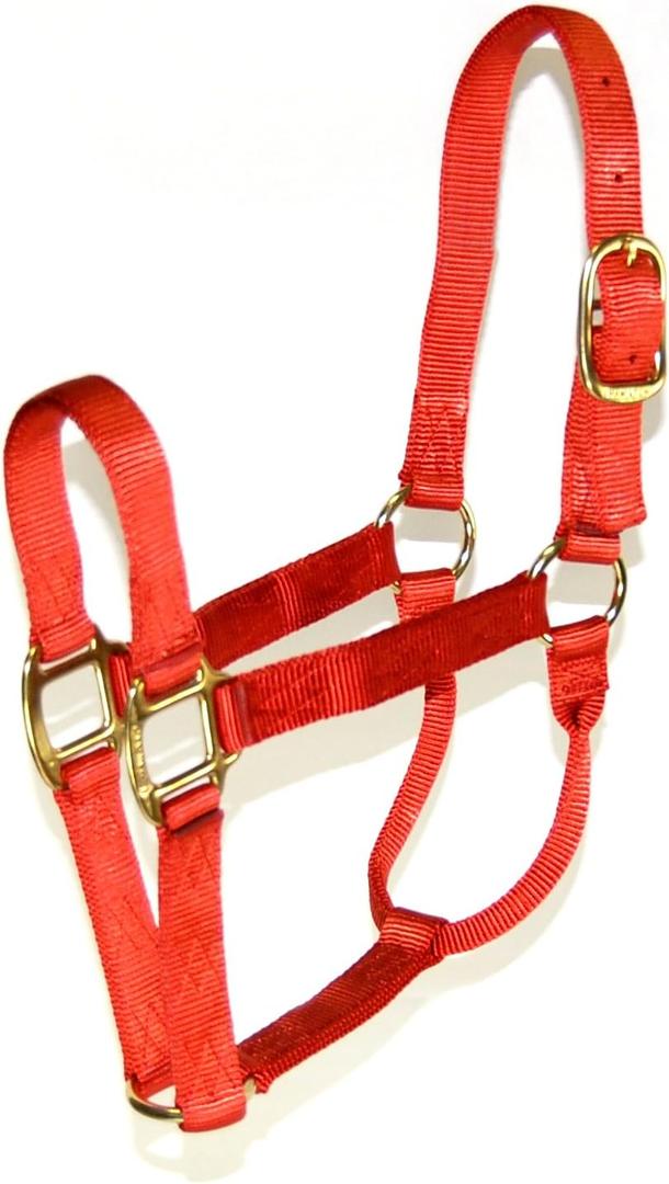 Hamilton 1-Inch Nylon Quality Halter for 1100 to 1600-Pound Horse, Large, Red Brick