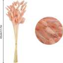 Uieke 17 Natural Bunny Tails Dried Flowers, 240 Pcs Dried Lagurus Ovatus, Dried Pink Pampas Grass Decor for Farmhouse Flower Arrangements Wedding Home Party Decorations