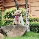 THAIN Reflective Dog Harness & Leash Set  No-Pull Design, Adjustable & Comfortable for Large Dogs (L, Pink Plaid)