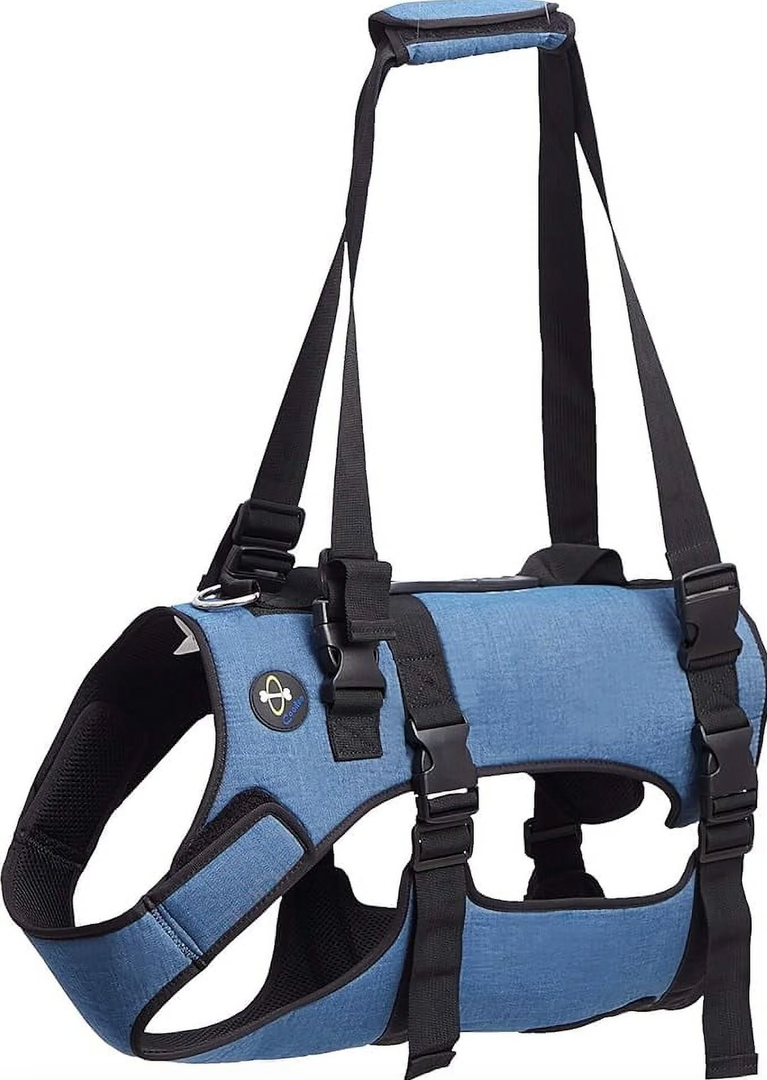 Coodeo Dog Lift Harness, Pet Support & Rehabilitation Sling Lift Adjustable Padded Breathable Straps for Old, Disabled, Joint Injuries, Arthritis, Loss of Stability Dogs Walk (Blue, L)