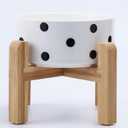 Petygooing Elevated/Raised Ceramic Dog Bowl for Small Breeds, Dog Food Water Dish with Stand,Pet Feeding Bowl with Anti Slip Rubber for Cats and Small Dogs Puppy 13.5 OZ (5.1In / 1.7 Cups) Black Dot