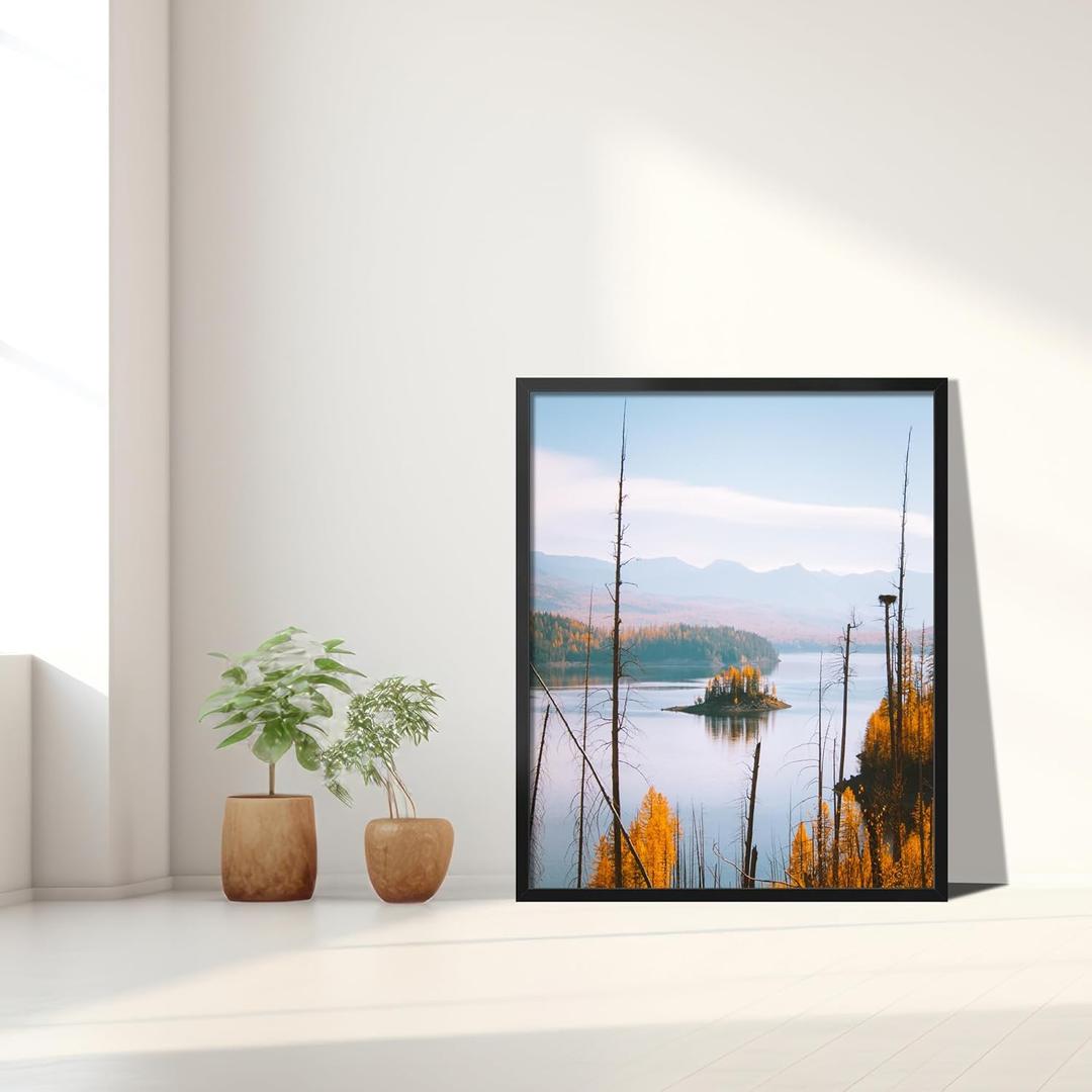Picture Frame 32x25"