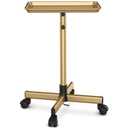 TASALON Premium Salon Tray on Wheels, Aluminum Salon Rolling Tray Trolley for Salon Essentials, Adjustable Height Provides Ample Storage for Hairstylist Tray, Tattoo Tray and Clinic Tray Use - Gloden
