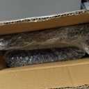 Elevated Dog Food and Water Bowl Set, Large Dog Bowl with Stand, Rustic Wooden Raised Feeder with Stainless Steel Bowls, Tilted Design for Medium and Large Dogs (Black)