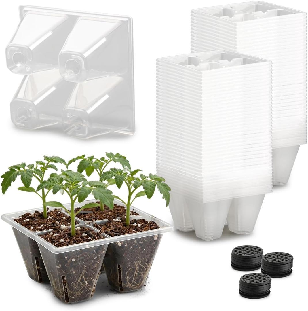 RooTrimmer 80 Pack Reusable 4-Cell Clear Seed Starter Trays - Extra Large Drainage Holes, Easy Transplant, Clear Transparent Tray for Root Observation, Seed Starting, Fits Standard 1020 Flats
