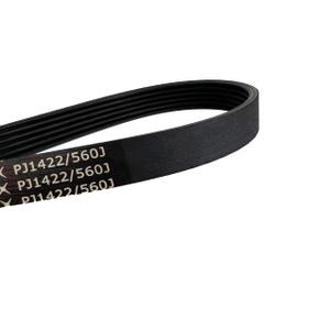 pj1422 560j Drive V-Belts Spinning Bike Rubber Conveyor Belt (pj1422 560j 6ribs)