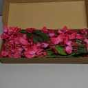 Fuchsia Bougainvillela Artificial Flower Garland 5.9FT Lush Bougainvillea Hot Pink Artificial Vine Flowers for Centerpieces Table Runner Wedding Arch Porches Patios Garden Decor (Hot Pink)