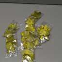 Patelai Glitter Star Garland Banner 2026 Party Decor 130 Feet Star Hanging Banner Twinkle Backdrop for Graduation Birthday Classroom Wedding Supplies(Gold)