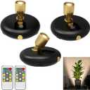 3Pack Battery Operated Indoor Plants SpotLight ,Tree Light Picture light with Remote,Dimmable Mini Led Accent Spotlight for Paintings with Timer,Wireless Uplight for Trees Plants Frame Gallery Closet (5INCH, Black)