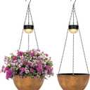 BAYN 2 Packs Solar Hanging Basket Planters for Plants Outdoor, Self Watering Bronze Flower Plants Pots with Solar Light Drainer for Balcony Patio Garden Outdoor Decoration