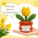 Mini Crochet Tulip Gifts for Wife, Wife Gift from Husband Handmade Tulip for Anniversary Birthday Valentines Day Mothers Day Just Because, Cute Encouragement Gift for Her Desk Decor