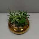 Hollyone Large Artificial Succulents Plants Faux Succulents with Gold Pots Fake Succulent Potted Plants in Ceramic Pot for Home Decor Office Desk Bathroom Living Room Indoor & Outdoor Decorations