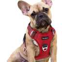 Funfox Dog Harness No Pull, Adjustable Pet Vest Harness, Super Soft Material with Vertical Handle Easy Control, Reflective Night Walking, 2 Leash Clips for Small Sized Dogs, Red, S