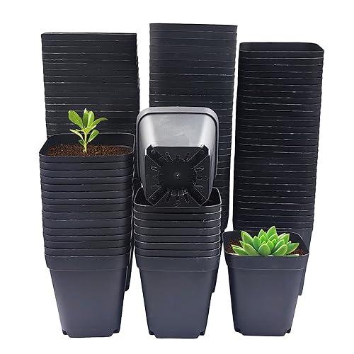 RooTrimmer Square Nursery Pots 3" 120Pcs Deep Succulent Plastic Pots Small Flower Planter Seeds Starter Germination Pots with Drainage (Black,2.7Inches,120Pcs)