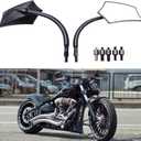 Universal Motorcycle Mirrors, M8 M10 Threaded Bolt Double Take Mirror Compatible With Sportster 883 Street bike Dirt bike Cruiser and chopper (Black)