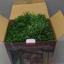 WATERGLIDE 49FT Lighted Christmas Green Garland with 100 Count Multicolor String Lights, Pre-lit Long Artificial Greenery Garlands, Plug in Holiday Decorative Lights for Indoor Outdoor Decor