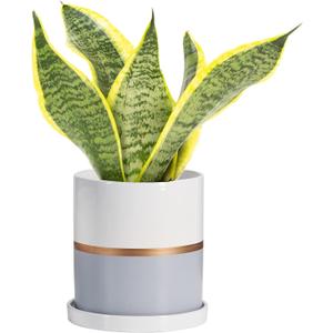Ekirlin 4 inch Plant Pot - Ceramic Flower Planters Indoor - Modern Succulents Containers with Drain Hole Saucer, Decorate Home, Office & Outdoor (Grey)
