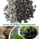 45LB River Rocks,Mexican Beach Pebbles for Plants,Potting,Garden Landscape Stone Paving Stone Grey 1Inch…