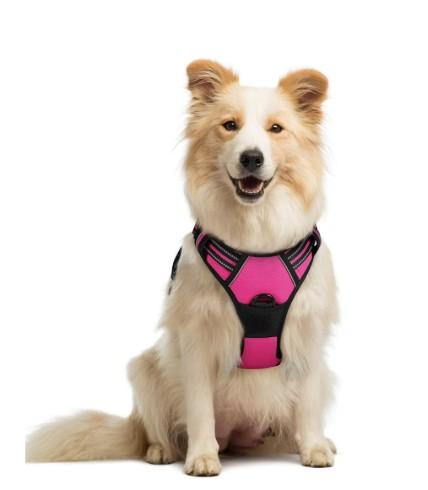 rabbitgoo Dog Harness No Pull with 2 Leash Clips, Adjustable Soft Padded, Reflective Oxford No Choke Pet Vest with Easy Control Handle for Large Dogs, Hot Pink, L