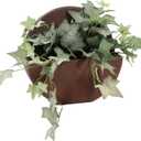 Sunnydaze 12" Round Wall Planter - Polyresin Wall-Hanging Flower Pot for Indoor or Outdoor Use - Dark Brown