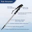 TheFitLife Nordic Walking Trekking Poles - 2 Sticks with Anti-Shock and Quick Lock System, Telescopic, Collapsible, Ultralight for Hiking, Camping, Mountaining, Backpacking, Walking, Trekking (Black, M)