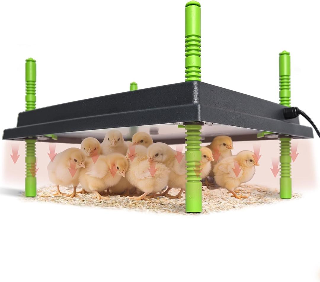 Shaledig Chick Brooder Heater Plate, 12"x16" Warmer Brooder Plate for Chicks with Adjustable Height & Temperature Display, 30W Temperature Control Brooder Heating Plate for 40 Baby Chicks Duck