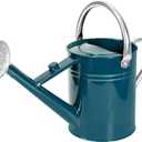 1 Gallon Metal Watering Can with Removable Spout, Nice Galvanized Steel Water Can for Indoor and Outdoor Plants (Ocean Blue)